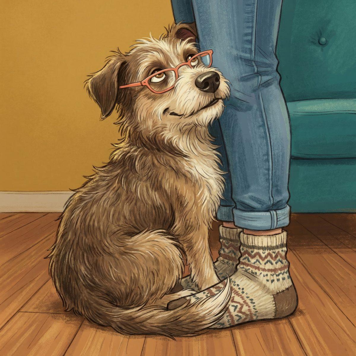 The Best Gifts for Dog Lovers Who Actually Read 2026